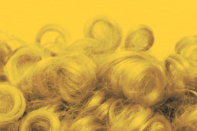 closeup of a curly blonde hair