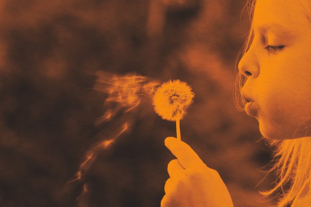 Girl blowing the seeds from a dandelion