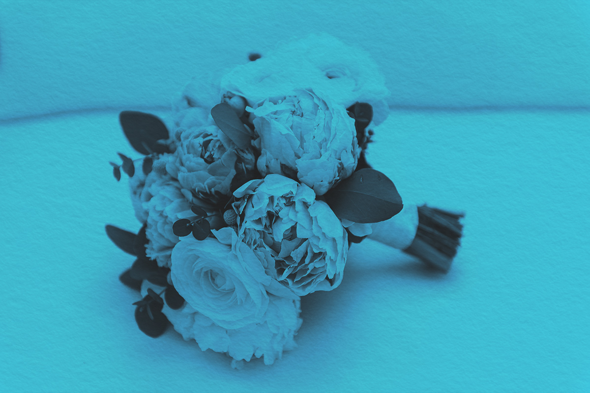 What's the Difference Between ‘Comprise’ and ‘Compose’?