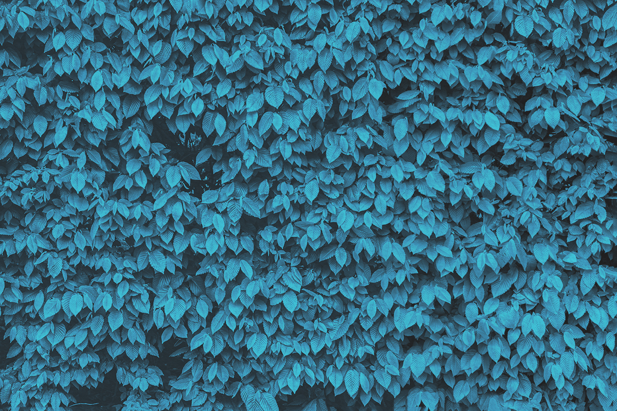 8 Words We Think Are Ready To Eliminate From the Dictionary