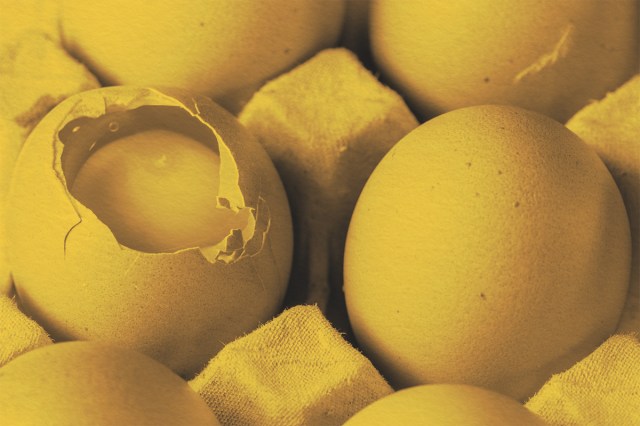 Close-up of a broken egg