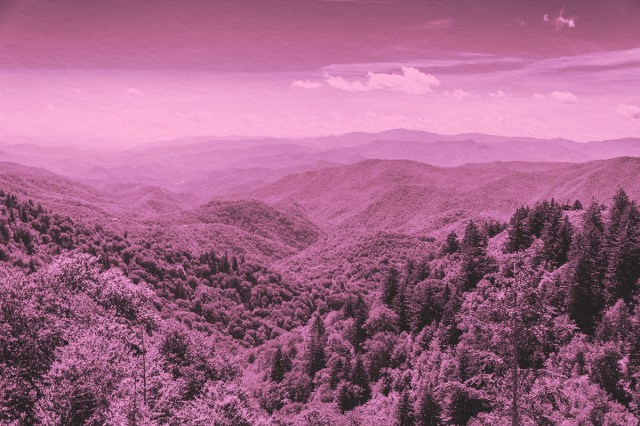 A view over the tops of trees to the Smoky Mountain range in Tennessee, USA